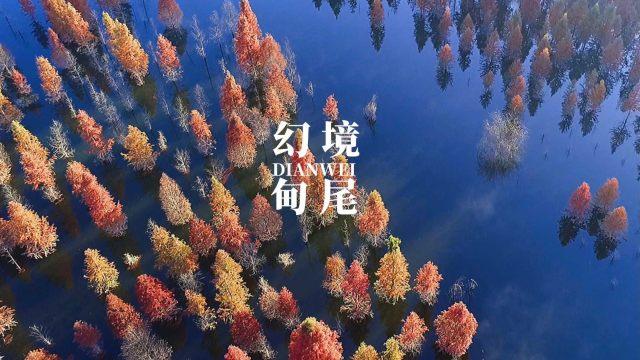 春雨直播app